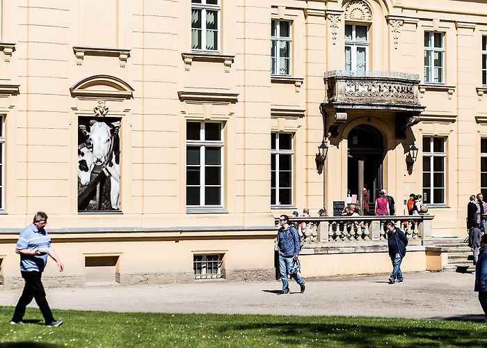 Brandenburgisches Freilichtmuseum Altranft Oderbruch Museum Altranft, Seenland Oder-Spree, Altranft photo