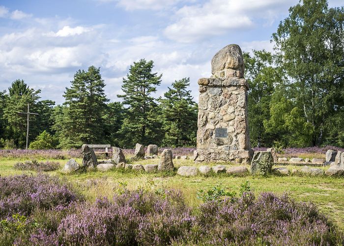 Hermann-Löns-Grab Hermann Löns grave in Tietlingen Juniper Grove | Lüneburger Heide photo