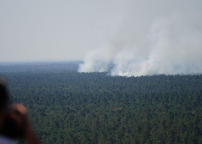 Grunewald Forest Berlin forest fire triggered by WWII ammunition dump blasts | News ... photo