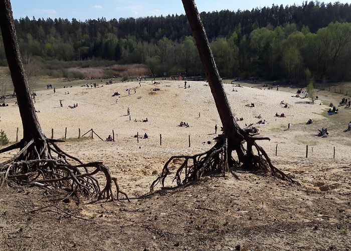 Grunewald Forest Easter Sunday in the Grunewald-Forest : r/berlin photo