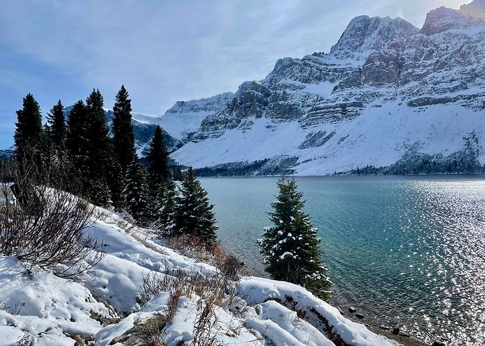 Crowfoot Glacier 4 Days in Banff National Park photo