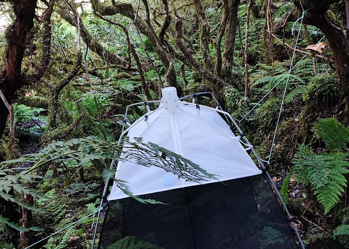 Centro de Informacion Juvenil SLAM Project - Long Term Ecological Study of the Impacts of ... photo