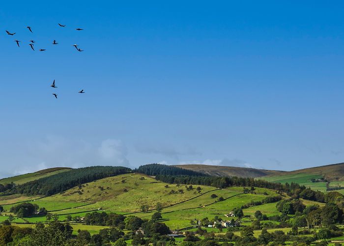 Fan - Daily Price National Holidays UK & EU 2024 (V4) by justgoholidays - Issuu photo