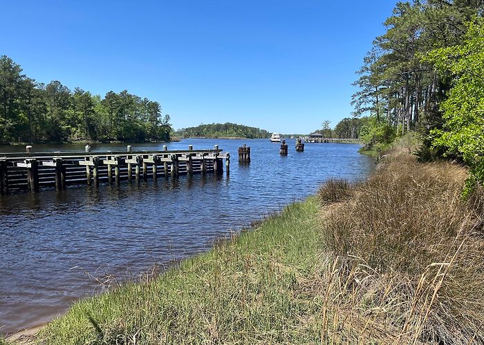 Chesapeake photo