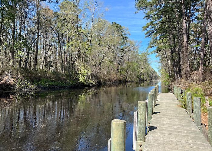 Chesapeake photo
