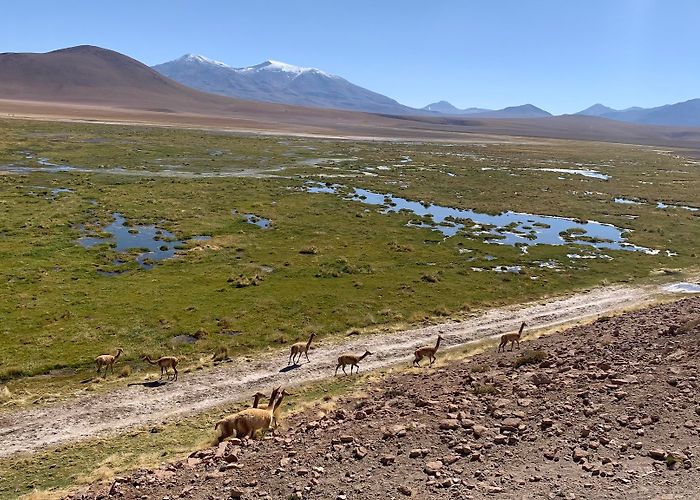 San Pedro de Atacama photo
