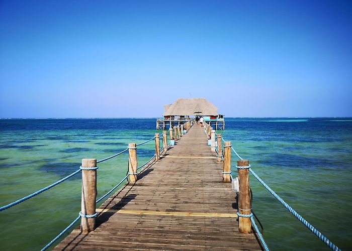 Kiwengwa (Zanzibar) photo