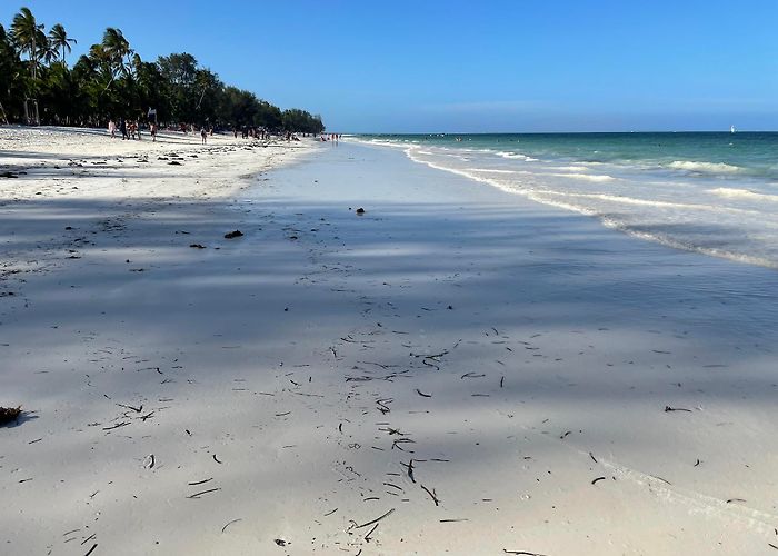 Kiwengwa (Zanzibar) photo