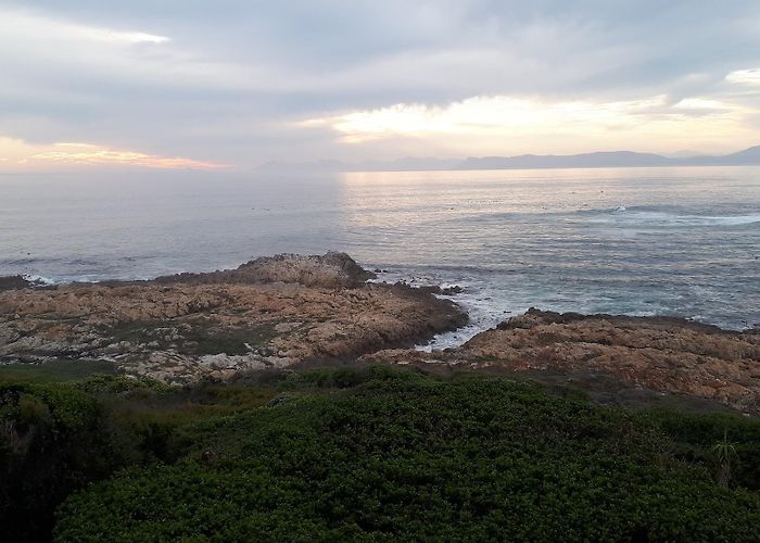 Gansbaai photo