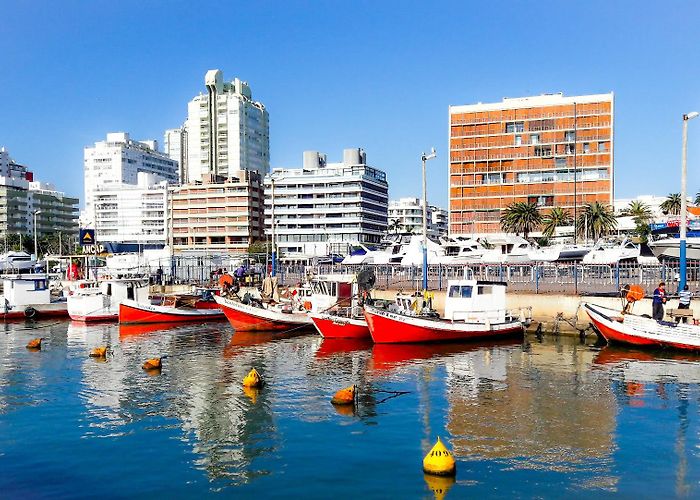 Punta del Este photo