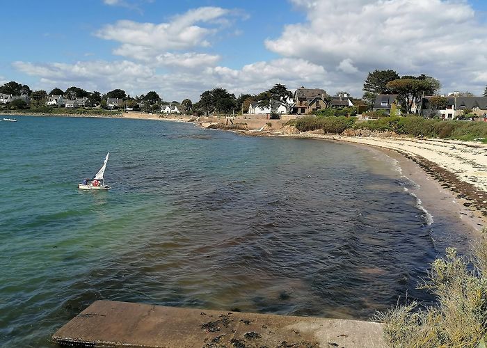 Arzon photo