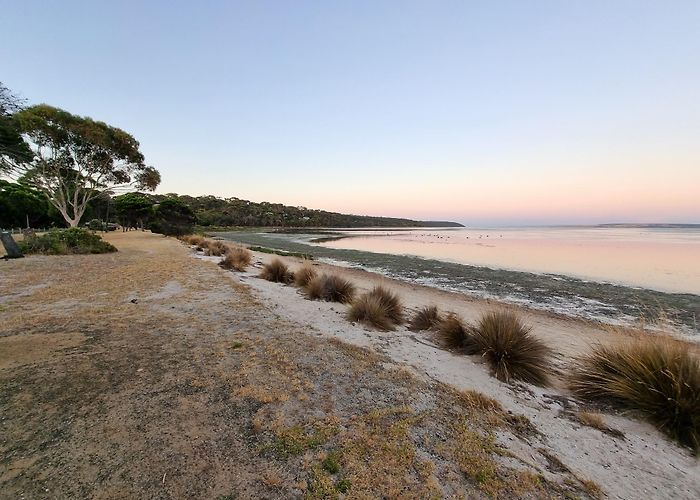 American River photo