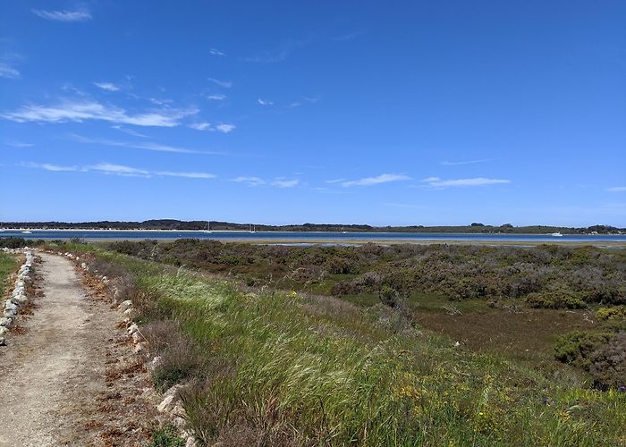 American River photo