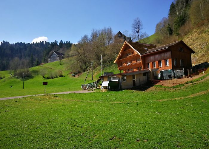 Sankt Peterzell photo