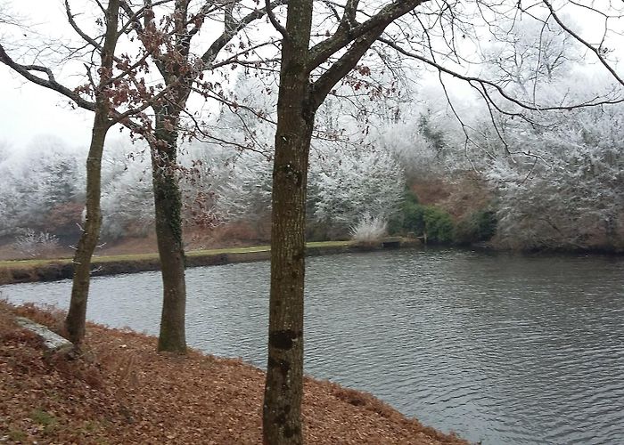 Le Tronchet (Ille-et-Vilaine) photo