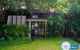 Bed Phrasingh-Adults Only Chiang Mai Exterior photo