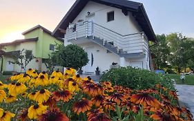 Orhidea Villa Bihac Exterior photo