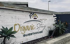 Organic Stay Guesthouse Swakopmund Exterior photo