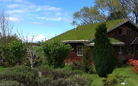 Zapato Amarillo Bed & Breakfast Bed & Breakfast Puerto Octay Exterior photo