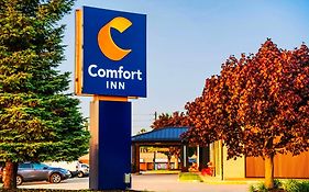 Comfort Inn Guelph Exterior photo