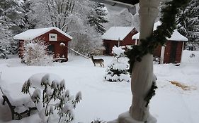 Olsbacka Cottage Falun Exterior photo