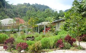 Moonriver Lodge Gua Musang Exterior photo