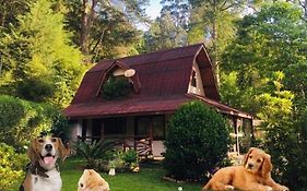 Casa Na Floresta Em Campos Do Jordao Exterior photo