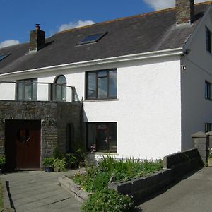 Alltyfyrddin Farm Guest House At The Merlin'S Hill Centre Carmarthen Exterior photo