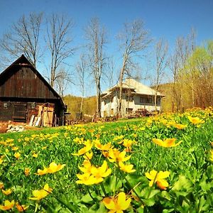 Agropensiunea Tarina Apartment Rosia Montana Exterior photo