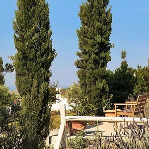 Christou Estate & Villas Pyrgos Kallistis Exterior photo