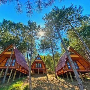 Fikri Atalay Konagi Bungalov Evleri Hotel Mengen Exterior photo