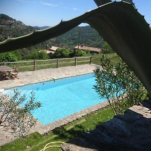 Le Mercou En Cevennes Bed & Breakfast Saint-Martin-de-Boubaux Exterior photo