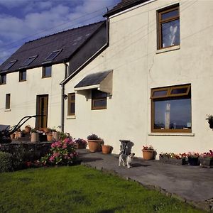 Plas Newydd Farm Bed & Breakfast Llanedy Exterior photo