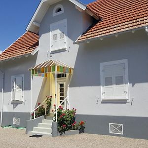 Au Berceau Du Loup Agile Bed & Breakfast Offendorf Exterior photo