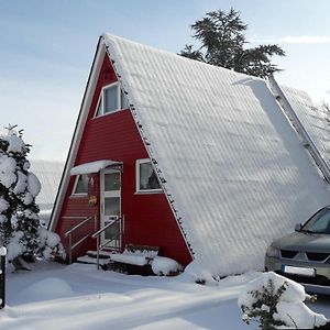 Eifeler Finnhaus Mit Sauna, Muehlenberg 13 Dockweiler Exterior photo