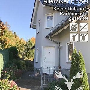 Duft- Und Parfuemfreie Allergiker-Fewo Apartment Mertendorf Exterior photo