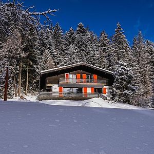 Chalet Familial Les Girolles Aux Portes D'Anzere Villa Arbaz Exterior photo