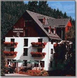 Landhotel Osterlamm Gruenhain-Beierfeld Exterior photo