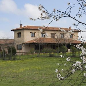 Casa Rural Pilon Del Fraile Guest House Oropesa Exterior photo