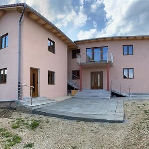 Casa Bia Cribo Sannicolau De Munte - Bai Termale Hotel Sacueni Exterior photo