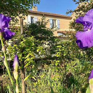 Le Petit Cochon Bed & Breakfast Valence-sur-Baise Exterior photo