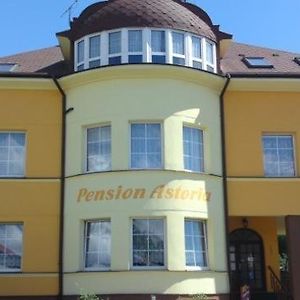 Pension Astoria Hotel Klasterec nad Ohri Exterior photo