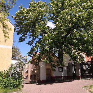 Gaestehaus Liemehna Hotel Jesewitz Exterior photo