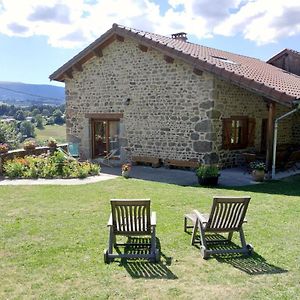 Gite Confortable Avec Sauna, Cheminee, Jardin, Proche Station De Ski - Fr-1-496-39 Villa Chalmazel-Jeansagniere Exterior photo