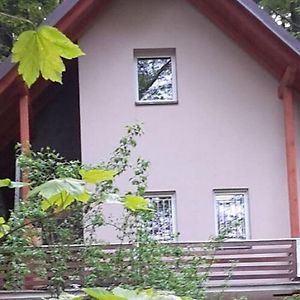 Peaceful Holiday Home In Hol N With Garden Prachov Exterior photo