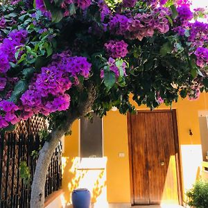 Le Stanze Di Botticelli Bed & Breakfast Termoli Exterior photo