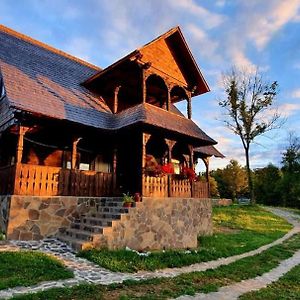 Cununa Vailor Bed & Breakfast Desesti Exterior photo