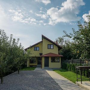 House Of Forest Villa Zarnesti Exterior photo