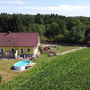 Haus Sonberg Mit Garten, Pool, Fasssauna, Semi Detached House With Garden Apartment Deutschlandsberg Exterior photo