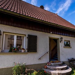 Gartenferienhaus "Annaluise" Villa Schonau im Schwarzwald Exterior photo